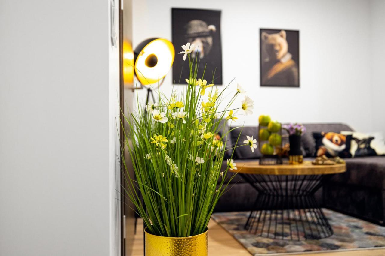 Apartmán Ziedu Apartamentai Klaipėda Exteriér fotografie